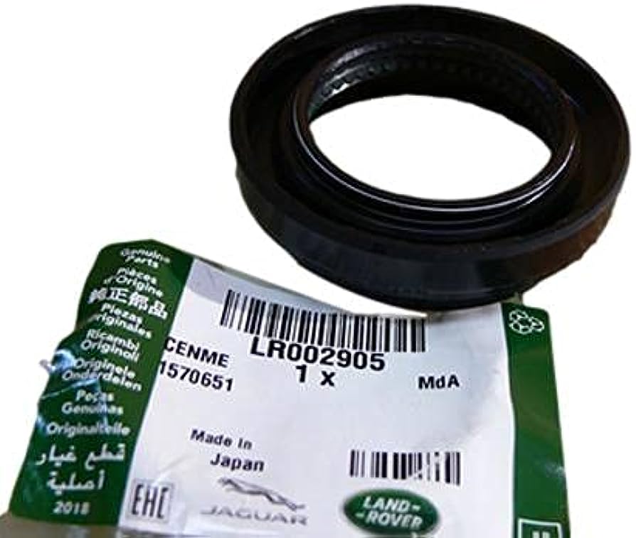 41nv9405qoS._AC_UF8941000_QL80_1.jpg