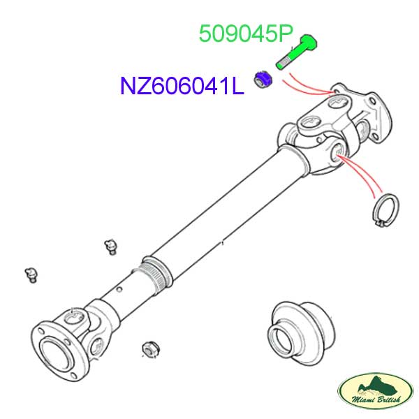 509045P-NZ606041L-MC.jpg