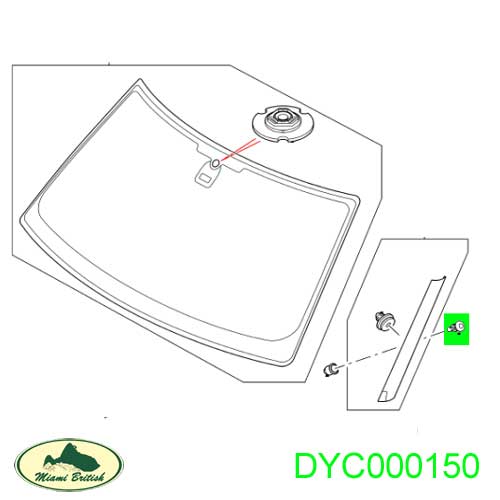 DYC000150-MC-1.jpg