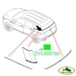 DYC000150x5.jpg