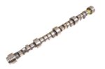 LAND ROVER ENGINE CAMSHAFT V8 4.0L DISCOVERY RANGE P38 ERR3720 EUROSPARE