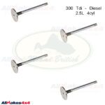 LAND ROVER INLET VALVE SET x4 Tdi DISCOVERY RR CLASSIC DEFENDER ERR3777 AM