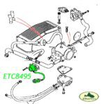 ETC8495-2.jpg