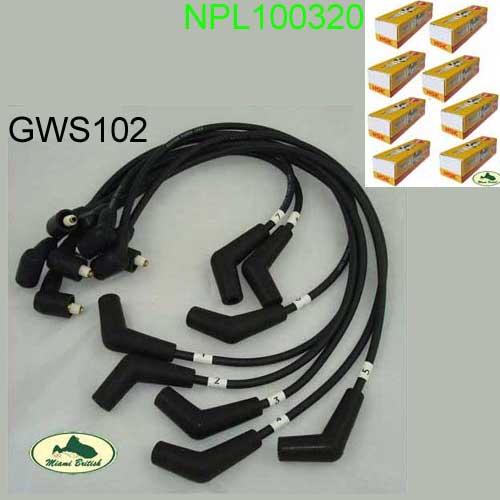 GWS102-NLP100320x8.jpg