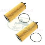 LAND ROVER OIL ELEMENT FILTER SET x2 RR SPORT RANGE 07-12 LION DIESEL 3.6 V8 LR002338 AM