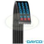 LAND ROVER SERPENTINE DRIVE BELT LR2 3.2L LR003570 DAYCO
