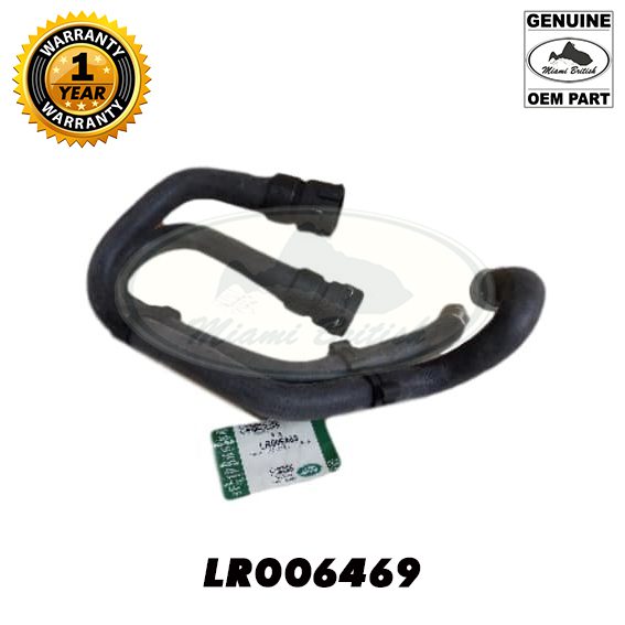 LR006469.jpg
