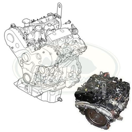LR006701.jpg