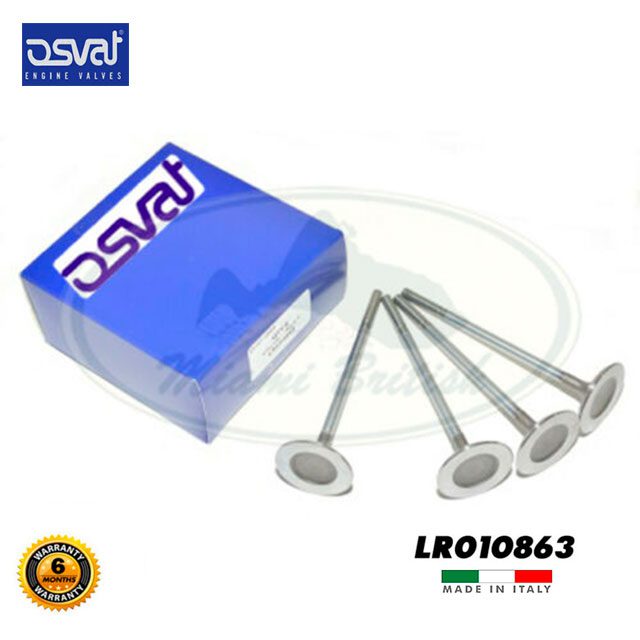 LR010863-OSVAT.jpg