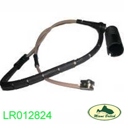 LR012824-ALLM.jpg