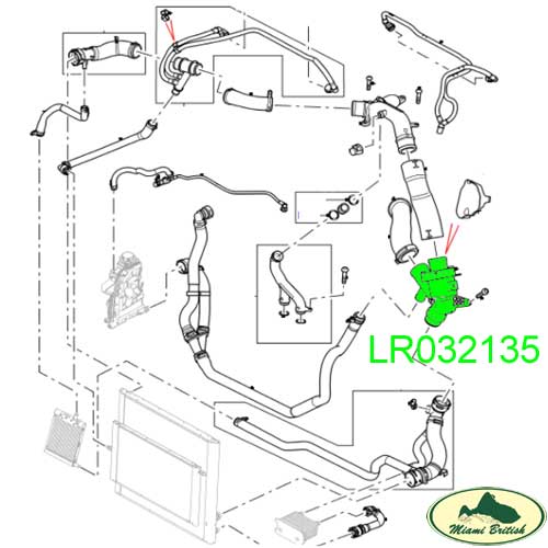 LR032135-MC.jpg