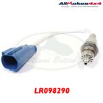 LR098290.jpg