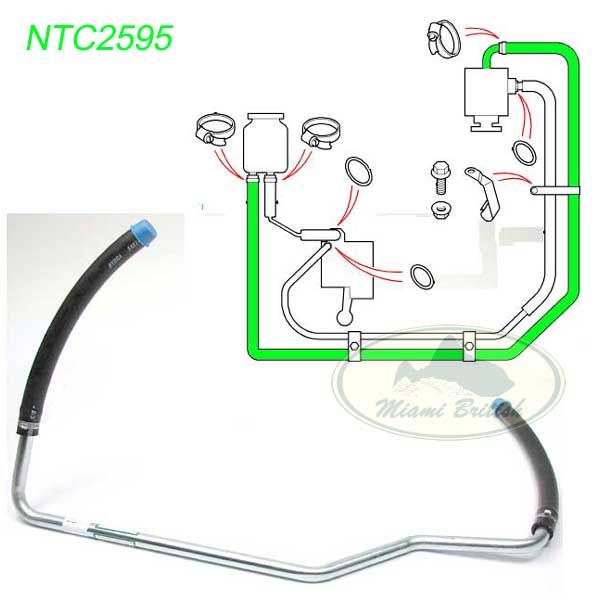 NTC2595.jpg