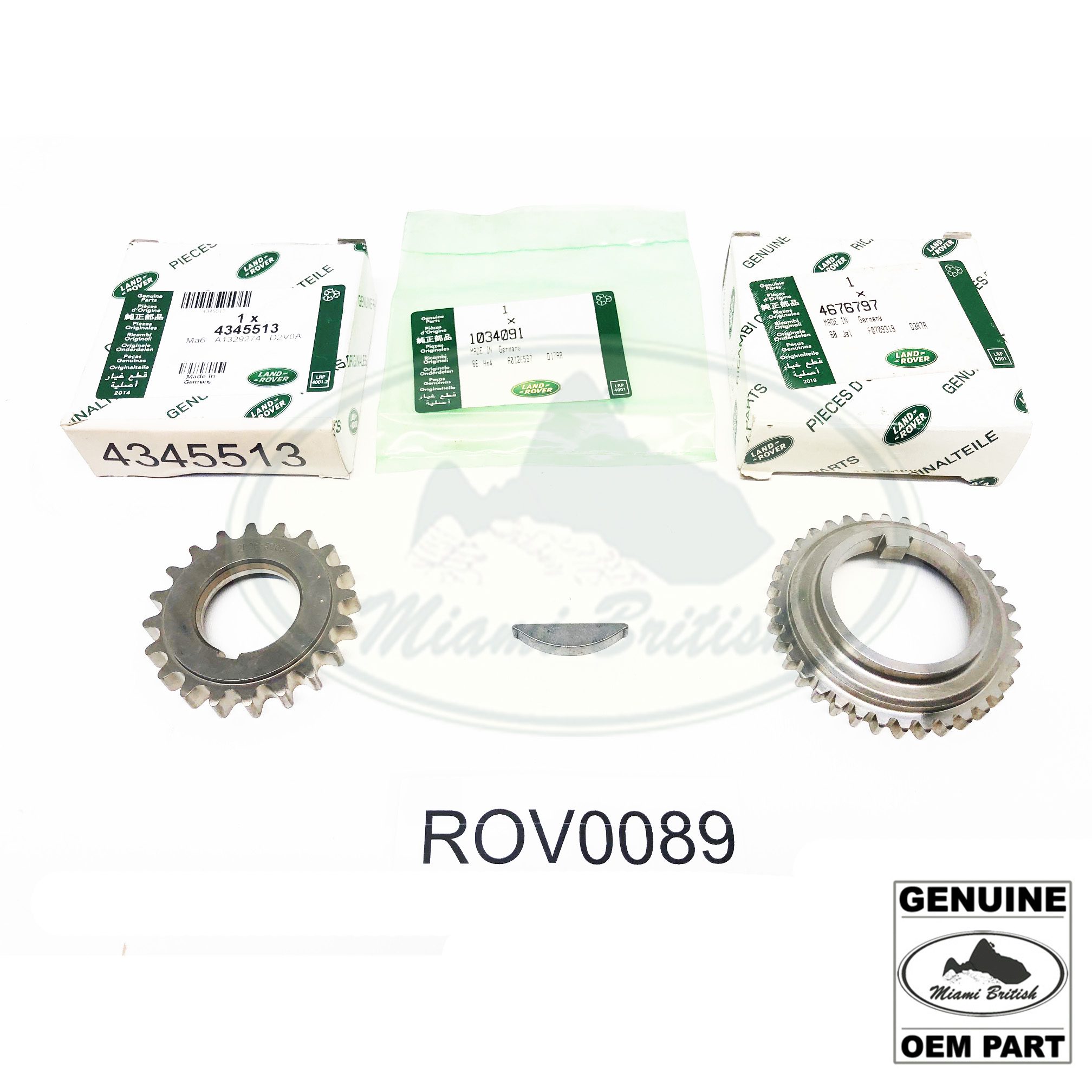 ROV0089-2.jpg