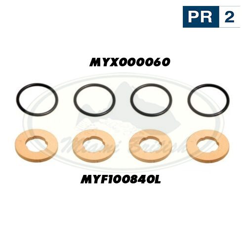 LAND ROVER FUEL INJECTOR O' RING KIT FREELANDER 2.0L 96-02 M47 ROV0148 MYX000060 MYF100840L PR2