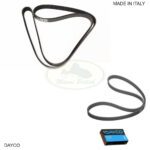 LAND ROVER MAIN DRIVE SERPENTINE BELT RANGE 03-05 M62 LR051050 PQS000220 DAYCO