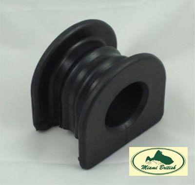 anr3305.jpg