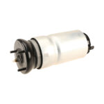 LAND ROVER FRONT AIR SPRING SUSPENSION RANGE SPORT LR3 LR4 LR016403 MB OE