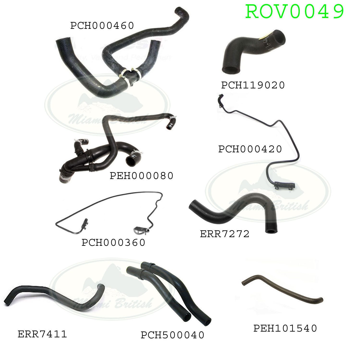 rov0049.jpg