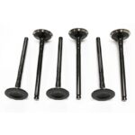LAND ROVER ENGINE EXHAUST VALVE SET x6 FREELANDER LGH101360L MB OE
